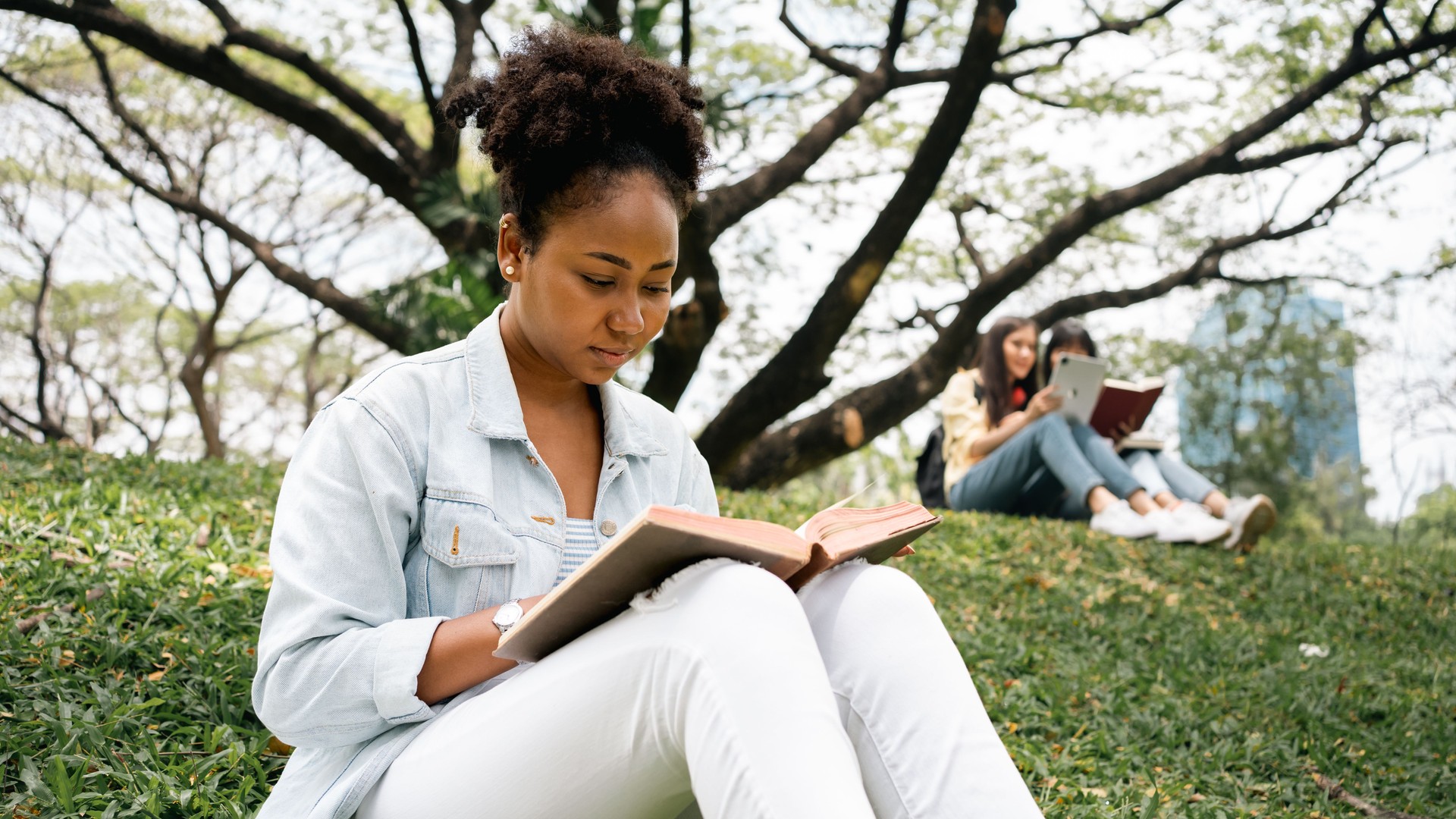 El estudiante africano sentado y leyendo un libro en un parque público.